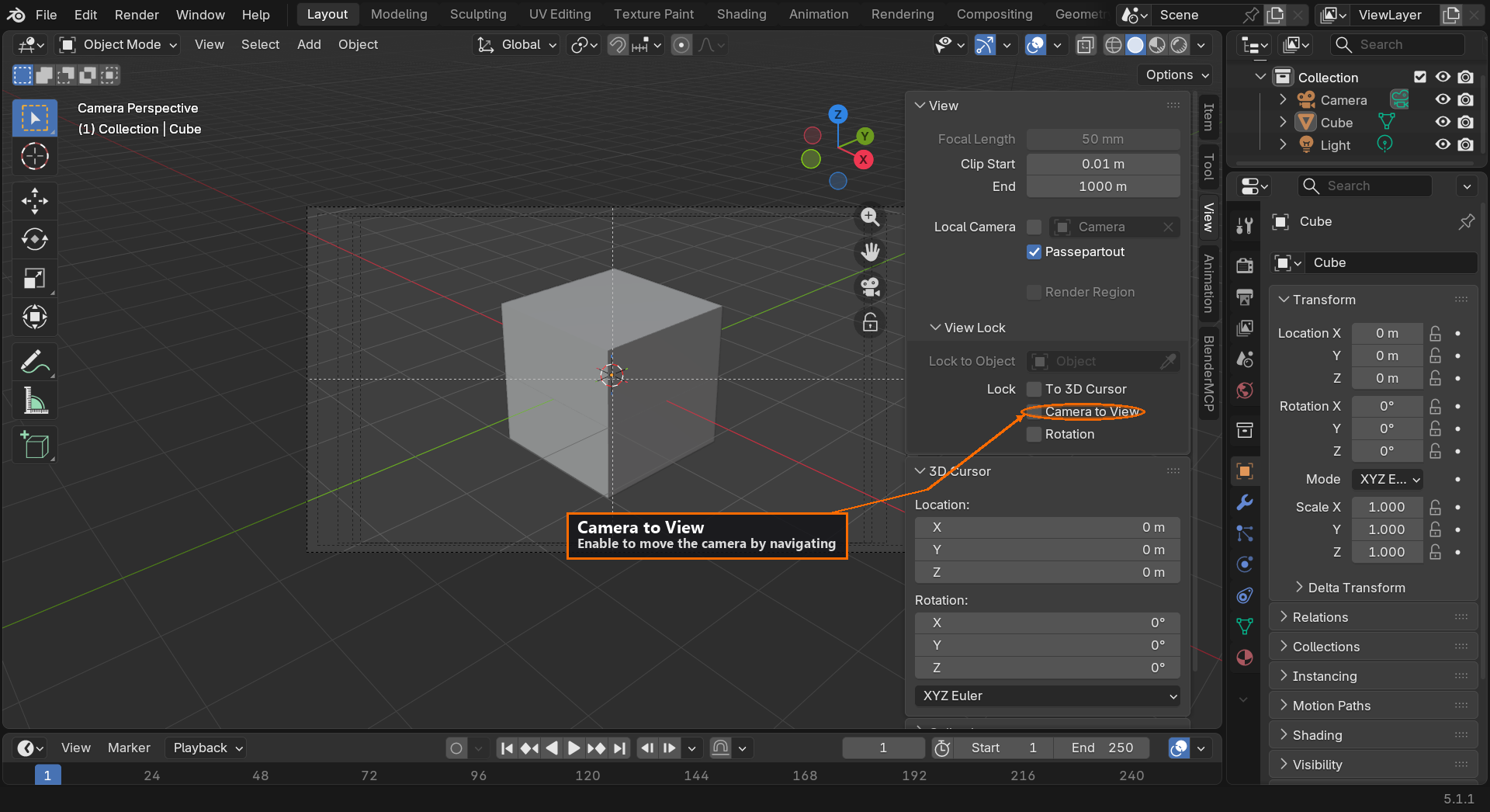 Blender N-panel sidebar opened to the View tab. A tight orange ellipse circles the 'Camera to View' checkbox row, isolating it from the other View settings around it.