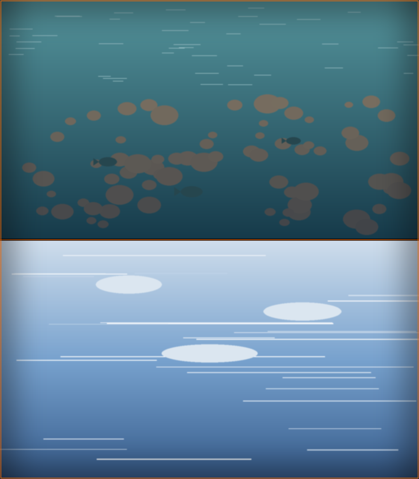 Two-panel water surface comparison. The top panel shows a lake viewed straight down: the water is transparent, revealing submerged rocks and fish, with only minimal reflection. The bottom panel shows the same water viewed across at a grazing angle: the surface is mirror-like, reflecting the bright sky with strong specular streaks. Same water, opposite reflection behavior driven by viewing angle.