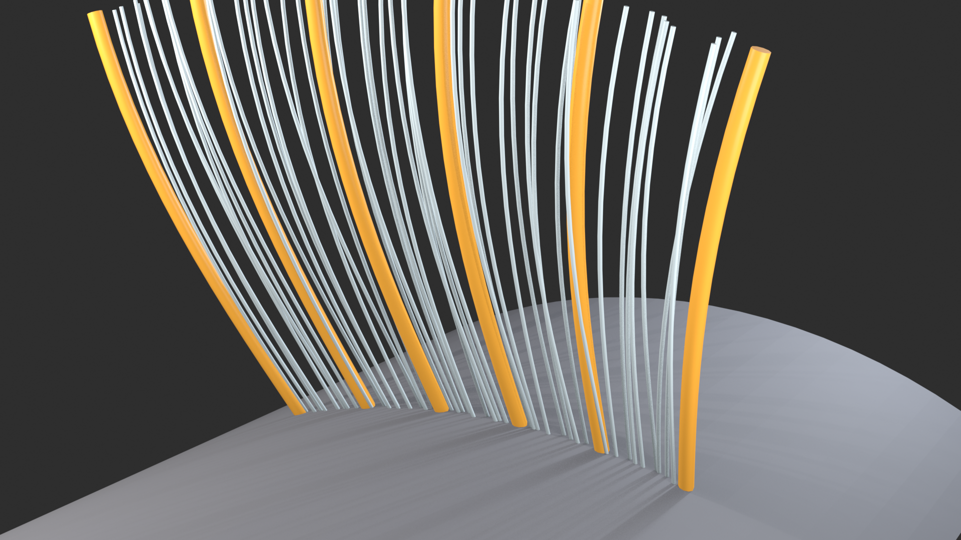 A small number of thick guide strands surrounded by many thinner strands that follow their shape.