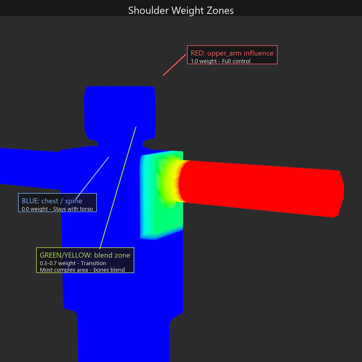 Shoulder weight zones on a T-pose character: red upper-arm region at full 1.0 weight, blue chest and spine at 0.0 weight, and a green-to-yellow blend band at the shoulder joint where weights transition between 0.3 and 0.7.
