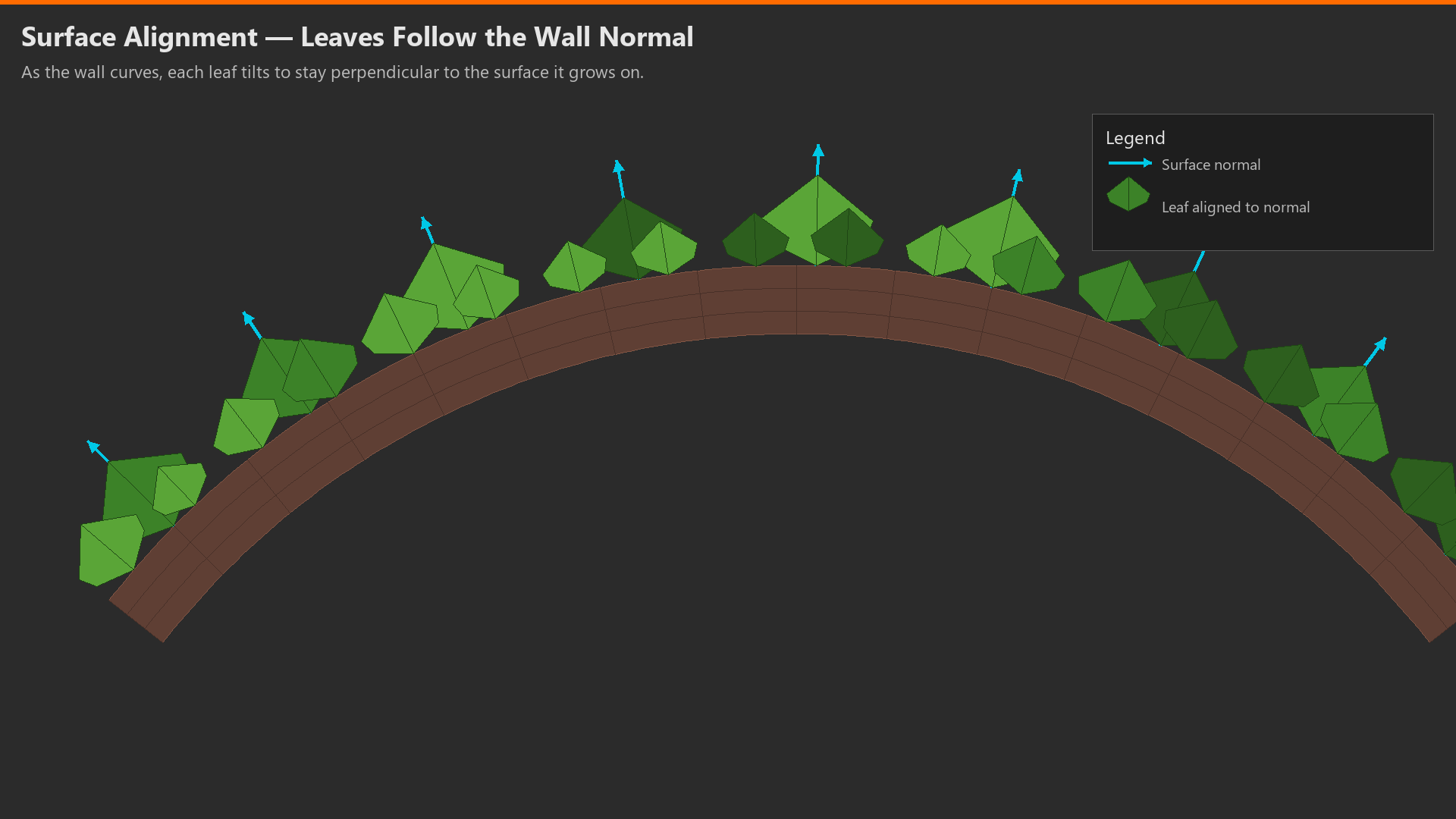 Ivy leaves aligned to the curving wall surface, with normal arrows.